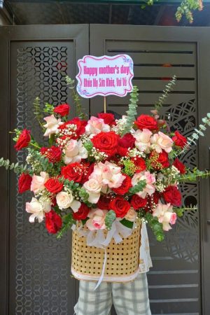 Vẻ Đẹp Tinh Tế - CM245
