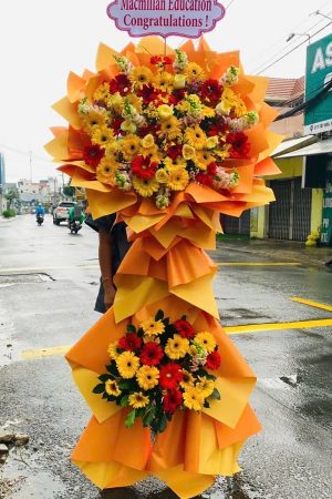 Hồng Phúc Rạng Ngời - CM526