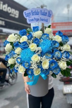 Đại Dương Xanh - CM251