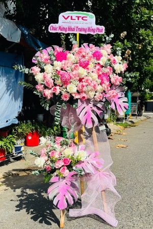 Tinh Khôi Hồng Nhẹ - CM550