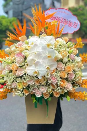 Nắng Ban Mai - CM265