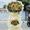 Hừng Đông Rực Rỡ - CM539