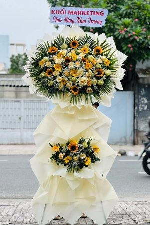 Hừng Đông Rực Rỡ - CM539