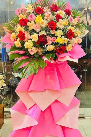 Tỏa Sáng Thành Công - CM505