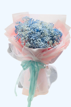 Bó hoa baby xanh mang vẻ đẹp nhẹ nhàng, tinh khôi và đầy mộng mơ. Những cành hoa nhỏ xinh với sắc xanh dịu mắt tạo cảm giác mới lạ, độc đáo. Phù hợp để tặng bạn bè, người yêu hoặc dùng làm quà tặng trong các dịp đặc biệt như sinh nhật, tốt nghiệp hay chụp ảnh kỷ niệm.