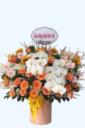 Sắc Xuân Rạng Rỡ - CM271