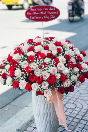 Thịnh Vượng Đỏ Trắng - CM272