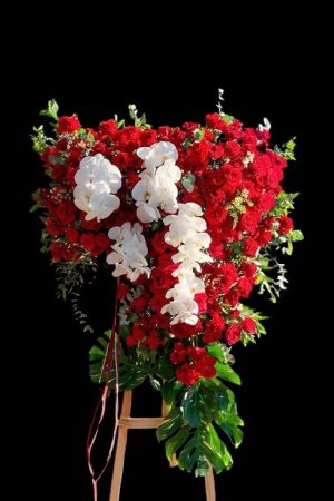 Huy Hoàng Rạng Rỡ - CM574