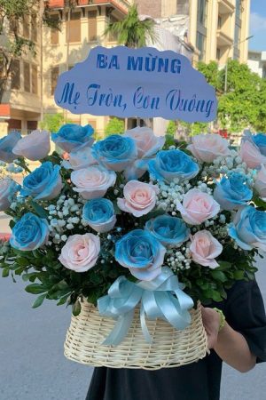 Giỏ hoa hồng xanh độc đáo và cuốn hút, tượng trưng cho sự bình yên, hy vọng và tình yêu vĩnh cửu. Phù hợp tặng người đặc biệt hoặc làm quà chúc mừng ý nghĩa.