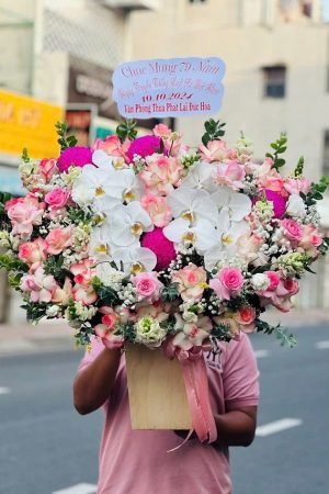 Mộng Mơ Phương Đông - CM264