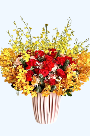 Mặt Trời Rực Rỡ - CM259