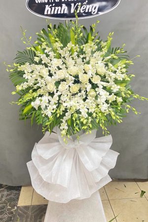 Hòa Điệu Vĩnh Cửu - CM710