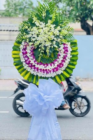 Thanh Khiết Vĩnh Hằng - CM711