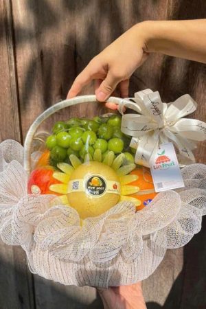 Giỏ trái cây gồm nhiều loại trái cây tươi ngon, mọng nước được lựa chọn kỹ càng và sắp xếp đẹp mắt trong giỏ. Giỏ thường điểm xuyết lá xanh hoặc hoa nhỏ tạo sự bắt mắt, vừa là món quà ý nghĩa vừa bổ dưỡng, phù hợp tặng dịp lễ, thăm hỏi hoặc chúc mừng.