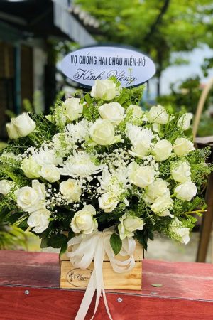 Vĩnh Hằng - CM703
