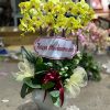 Chậu lan hồ điệp trắng mix vàng mix tím rực rỡ và sang trọng, hòa quyện giữa sự tinh khôi, may mắn và quý phái, thích hợp làm quà tặng ý nghĩa cho nhiều dịp đặc biệt.