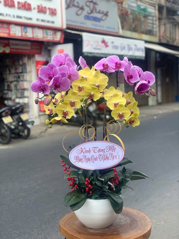 Chậu lan hồ điệp đẹp từ hoa tươi quận 2