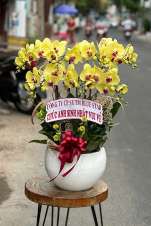 Chậu lan hồ điệp vàng cao cấp rực rỡ, sang trọng, tượng trưng cho tài lộc, thịnh vượng và thành công.