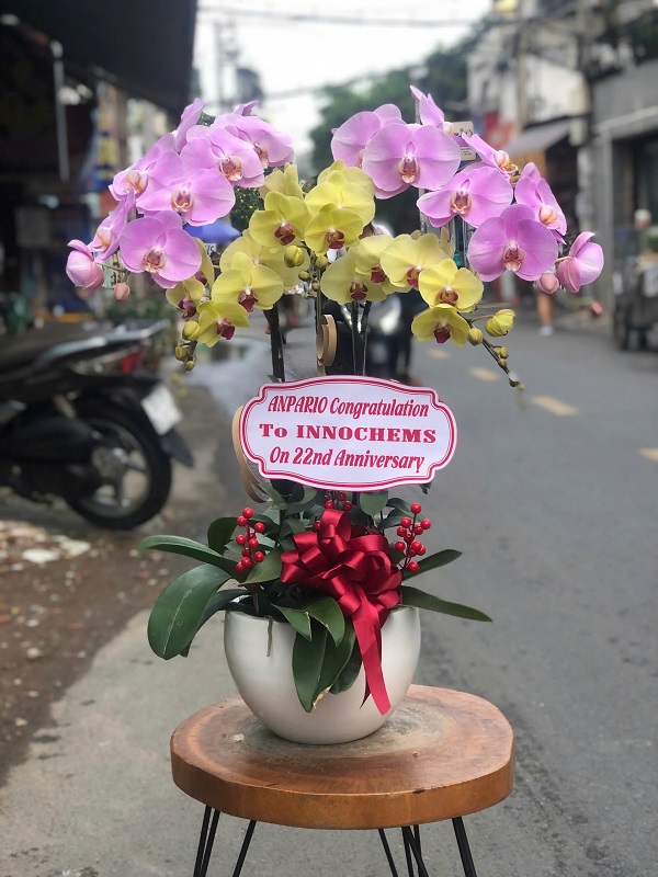 Dịch vụ đặt hoa online Phù Cát Bình Định tiện lợi, giúp bạn gửi tặng hoa tươi nhanh chóng đến người thân, bạn bè.