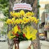 Chậu lan hồ điệp vàng rực rỡ, sang trọng, tượng trưng cho niềm vui, may mắn và sự thịnh vượng.