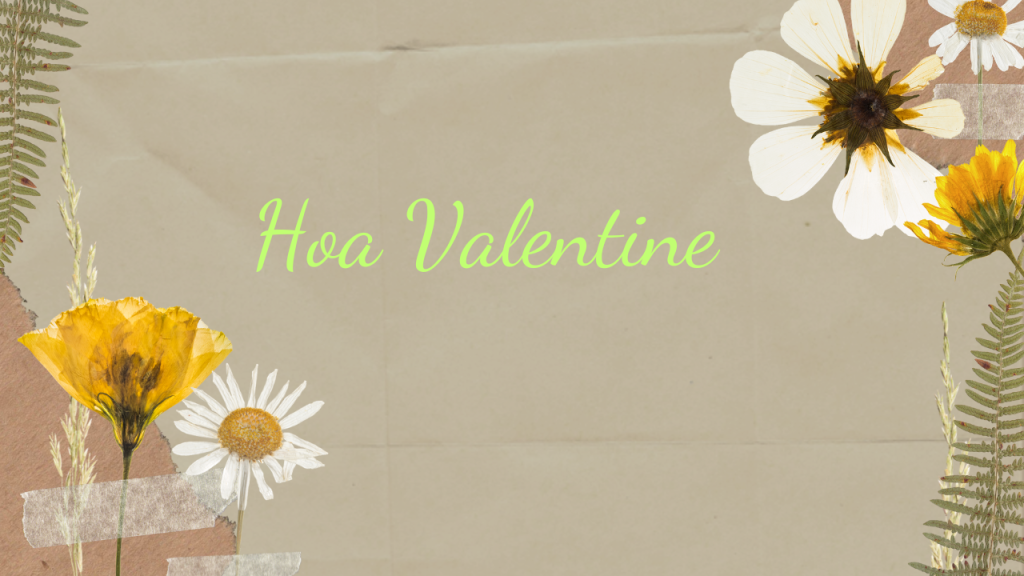 hoa valentine