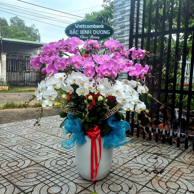 Shop hoa tươi Bù Gia Mập là địa chỉ uy tín tại Bình Phước chuyên cung cấp dịch vụ đặt hoa online cho mọi dịp đặc biệt.
