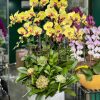 Shop Hoa Tươi Phú Bình Thái Nguyên