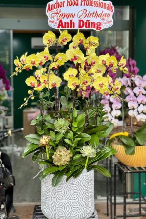 Shop Hoa Tươi Phú Bình Thái Nguyên