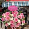 Shop Hoa Tươi Tuy An Phú Yên
