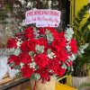 Shop Hoa Tươi Sông Cầu Phú Yên