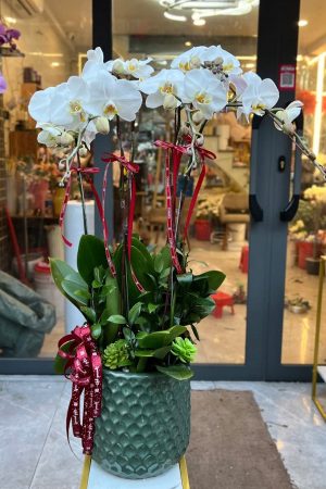 Shop Hoa Tươi Yên Lạc Vĩnh Phúc