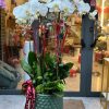 Shop Hoa Tươi Phường Bảy Hiền TPHCM