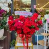 Tiệm Hoa Tươi Xã Bắc Tân Uyên TPHCM