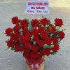 Shop hoa tươi Phước An Đồng Nai