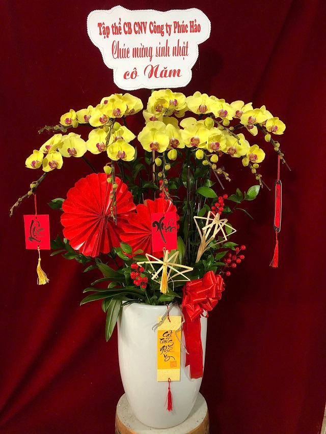 Chậu lan hồ điệp vàng mừng năm mới